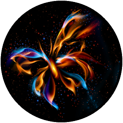 Flutters and Feathers